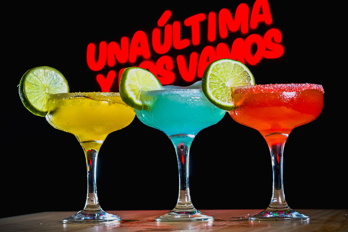 Margaritas de colores frente al neón de Malcriado